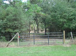 24144 Pinewood Valley Dr, Hockley, TX 77447