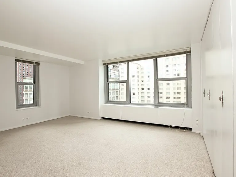 777 N Michigan Ave #1509 — Photo 4