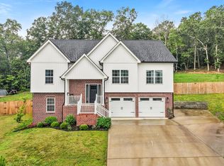 6505 Long Horn St, Birchwood, TN 37308