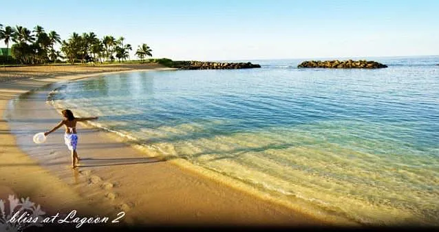 Lagoon 2
