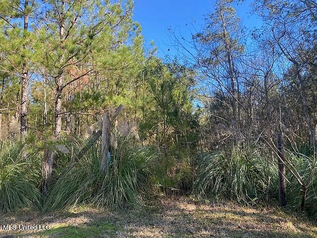 1st image of 10074 Bayou Dr