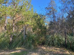 10074 Bayou Dr, Bay Saint Louis, MS 39520