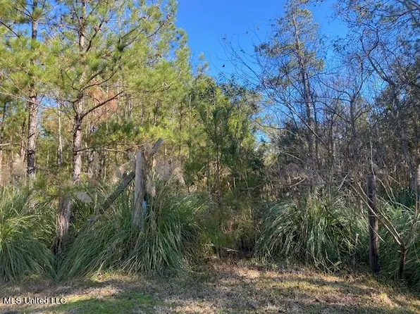 10074 Bayou Dr, Bay Saint Louis, MS 39520