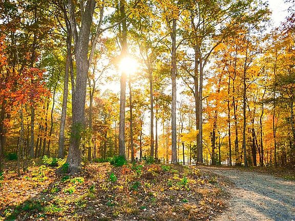 Fall Beauty