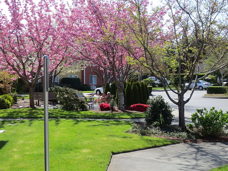 Suncrest Village Senior Apartments — Photo 7
