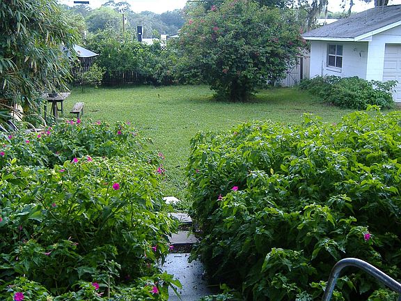 Back porch to back yard and garage