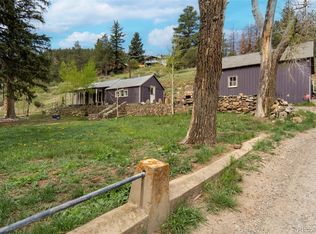 401 Soda Creek Road, Idaho Springs, CO 80452