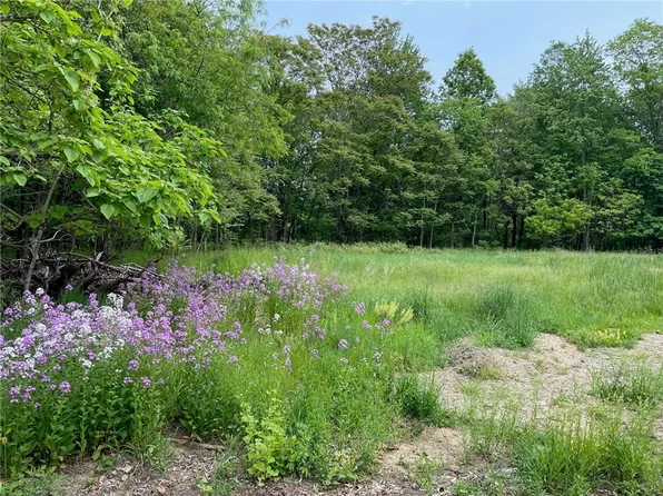 Kelly Avenue, Pine Bush, NY 12566