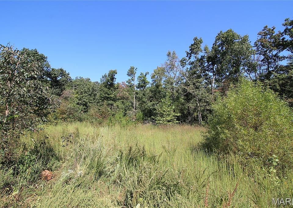 31st image of 0 Coldwater Crk #Creek_lot-2