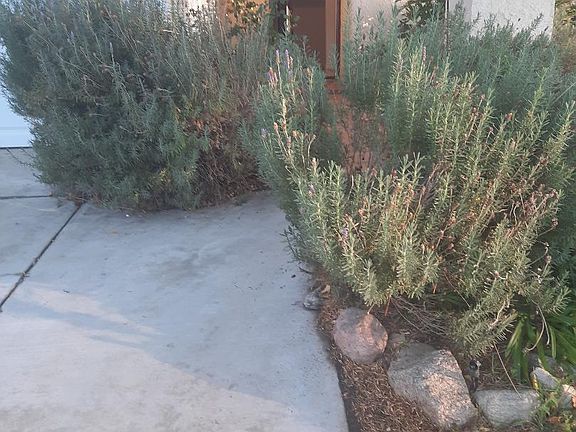 5th image of 22938 Sycamore Creek Dr
