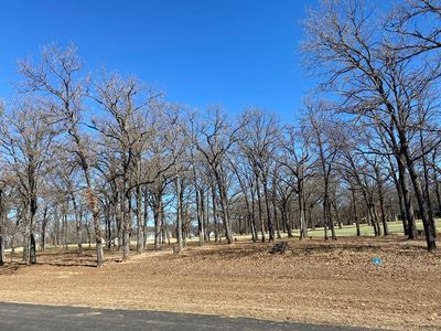 383 Saint Andrews Dr, Mabank, TX, 75156