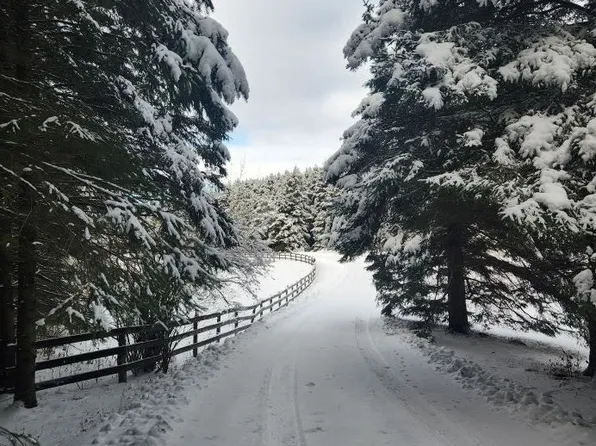 15600 7th Concession Rd, King, ON L7B 0G4