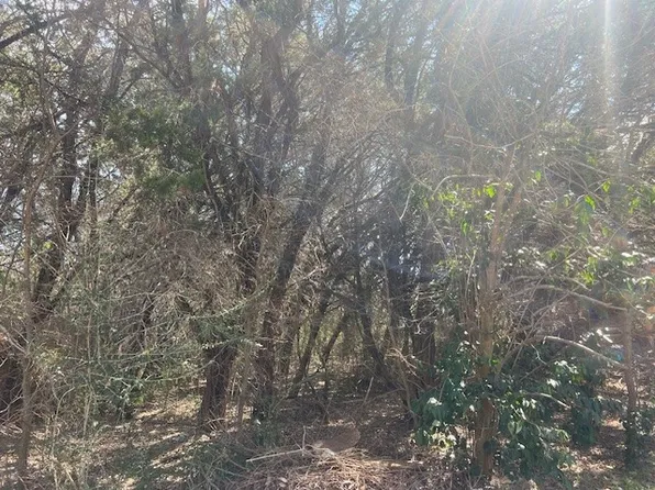 LOT 555 Cedar Way, Whitney, TX 76692