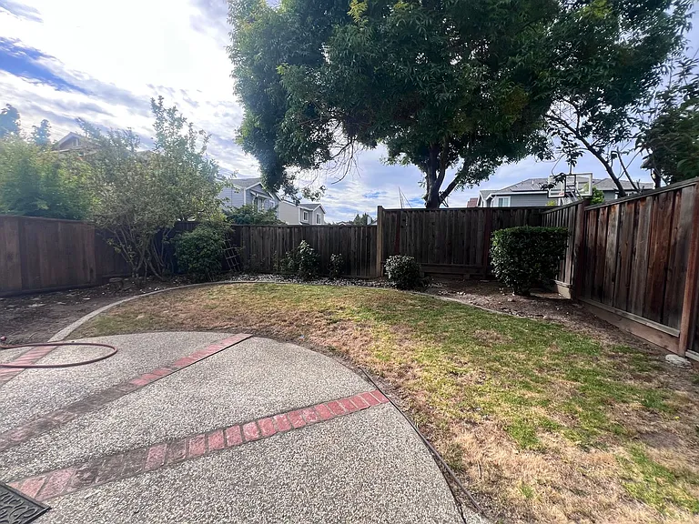 34299 Maybird Cir — Photo 41