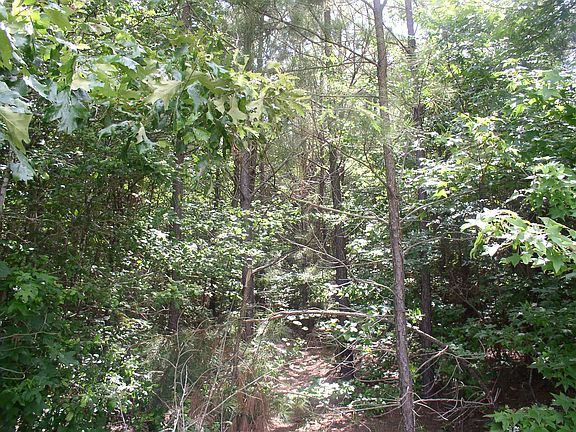 4th image of 119 County Road 1347