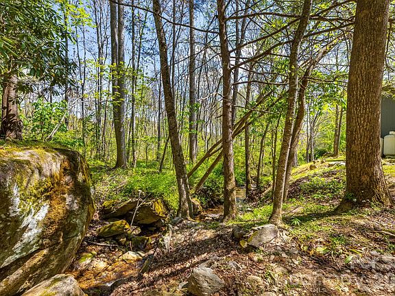 44th image of 874 & 888 Bluff Mountain Rd