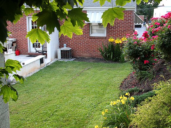 back yard