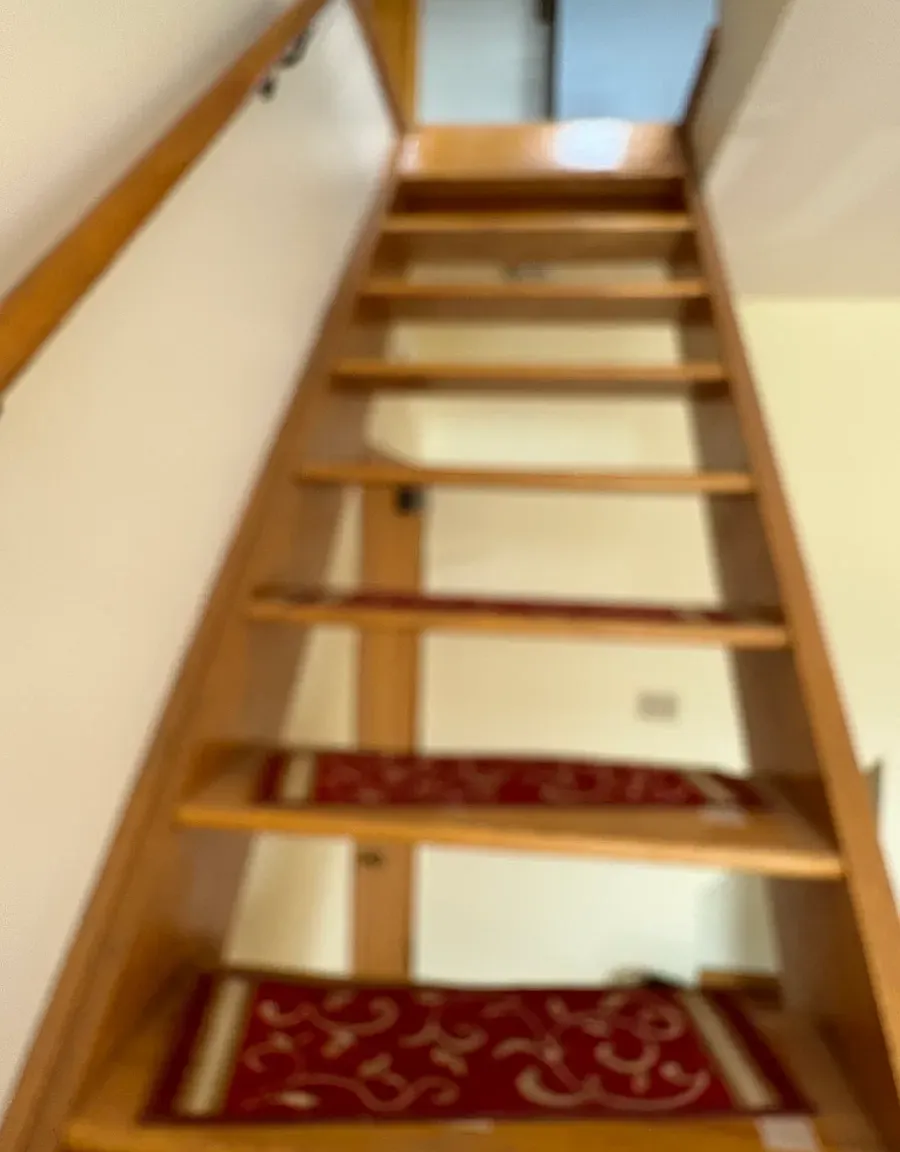1 bed, 600 sqft, $1,450 — Photo 4