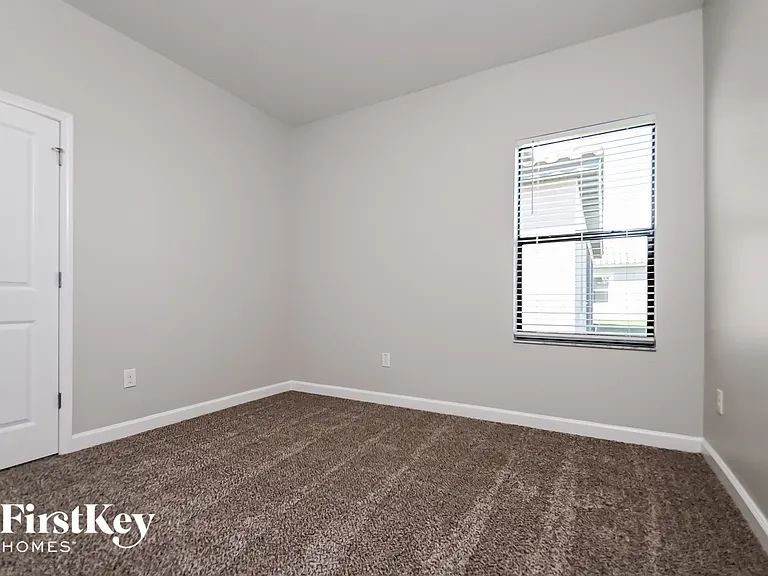 12016 Cinnamon Fern Dr — Photo 10