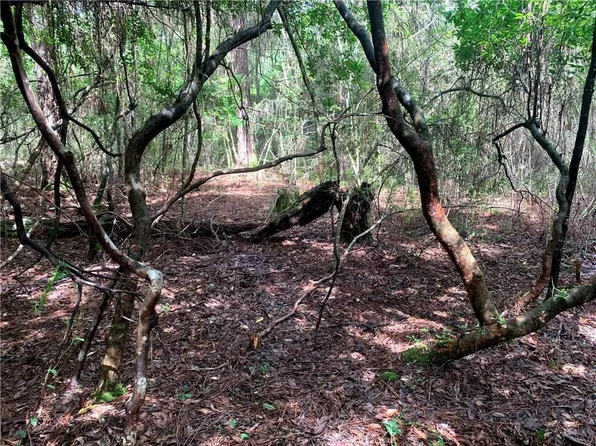 23 Five Acre Farms, Mandeville, LA 70471
