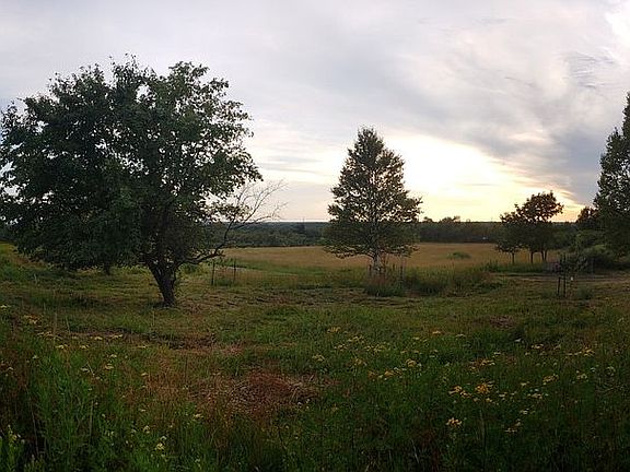 Mature and new apple trees 