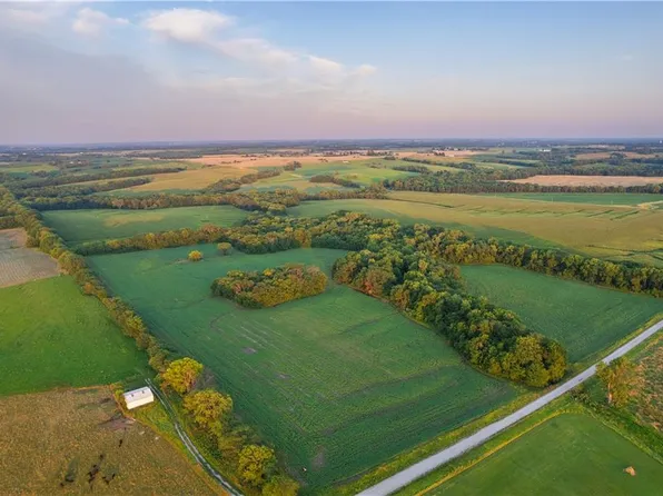 3620 SE Frog Pond Rd, Cowgill, MO 64637