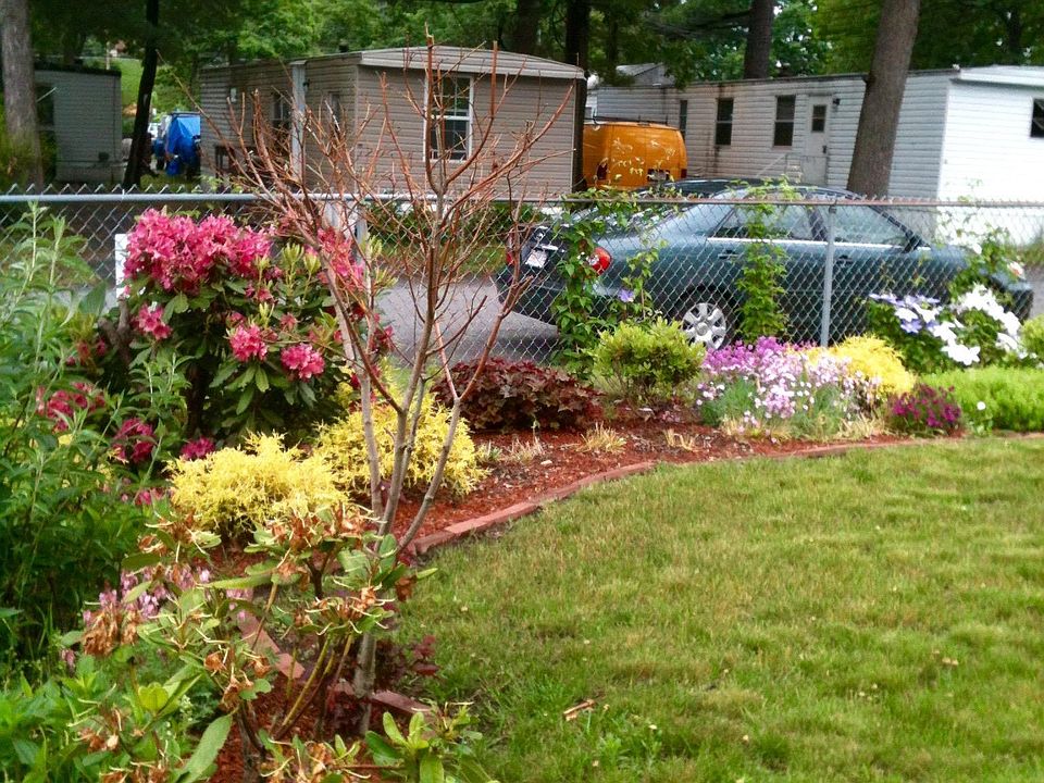 Front yard/view from livingroom