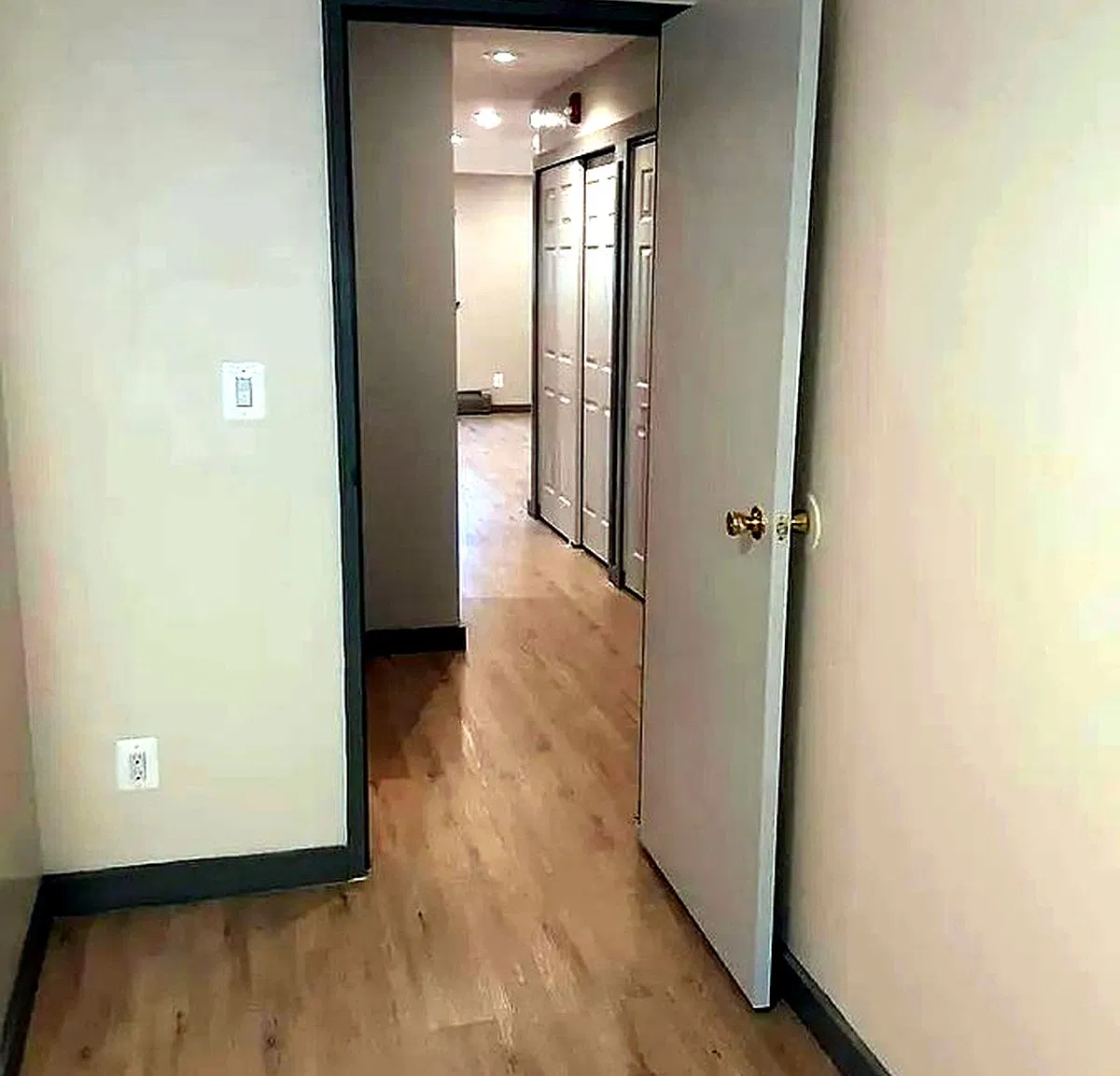 2 bed, 850 sqft, $1,650 — Photo 3