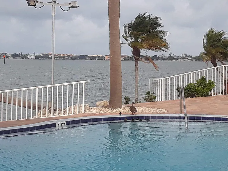 4725 Cove Cir #108 — Photo 9