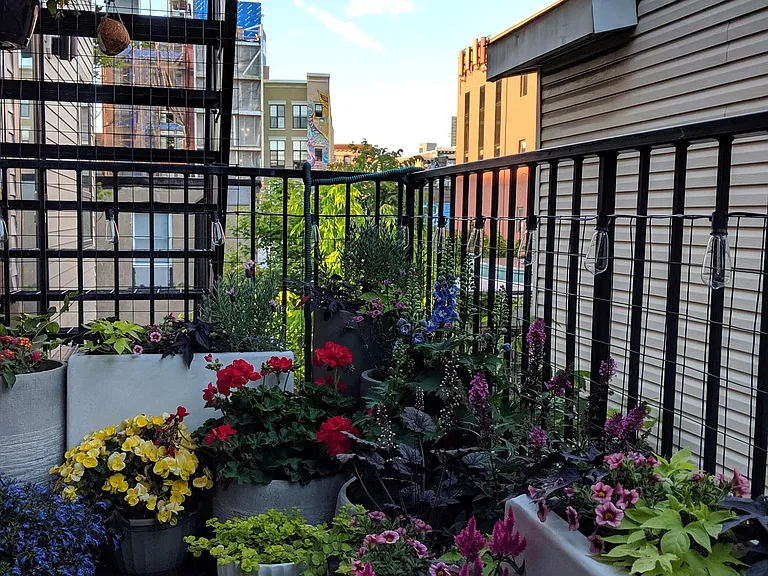 56 Wayne Street - 2 — Photo 8