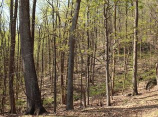 Terrapin Trl LOT 102A, Roanoke, VA 24018