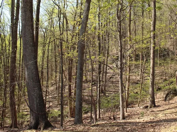 Terrapin Trl Lot 102A, Roanoke, VA 24018