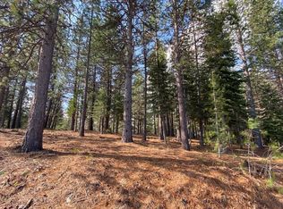 LOT 3 Hidden Meadow Dr, Weed, CA 96094