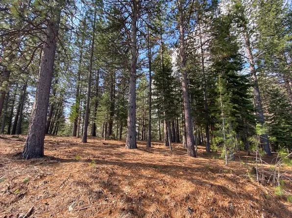 LOT 3 Hidden Meadow Dr, Weed, CA 96094