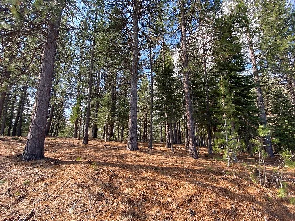 LOT 3 Hidden Meadow Dr photo 1