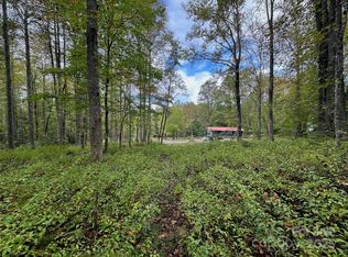 0 Sam King Rd, Hendersonville, NC 28739