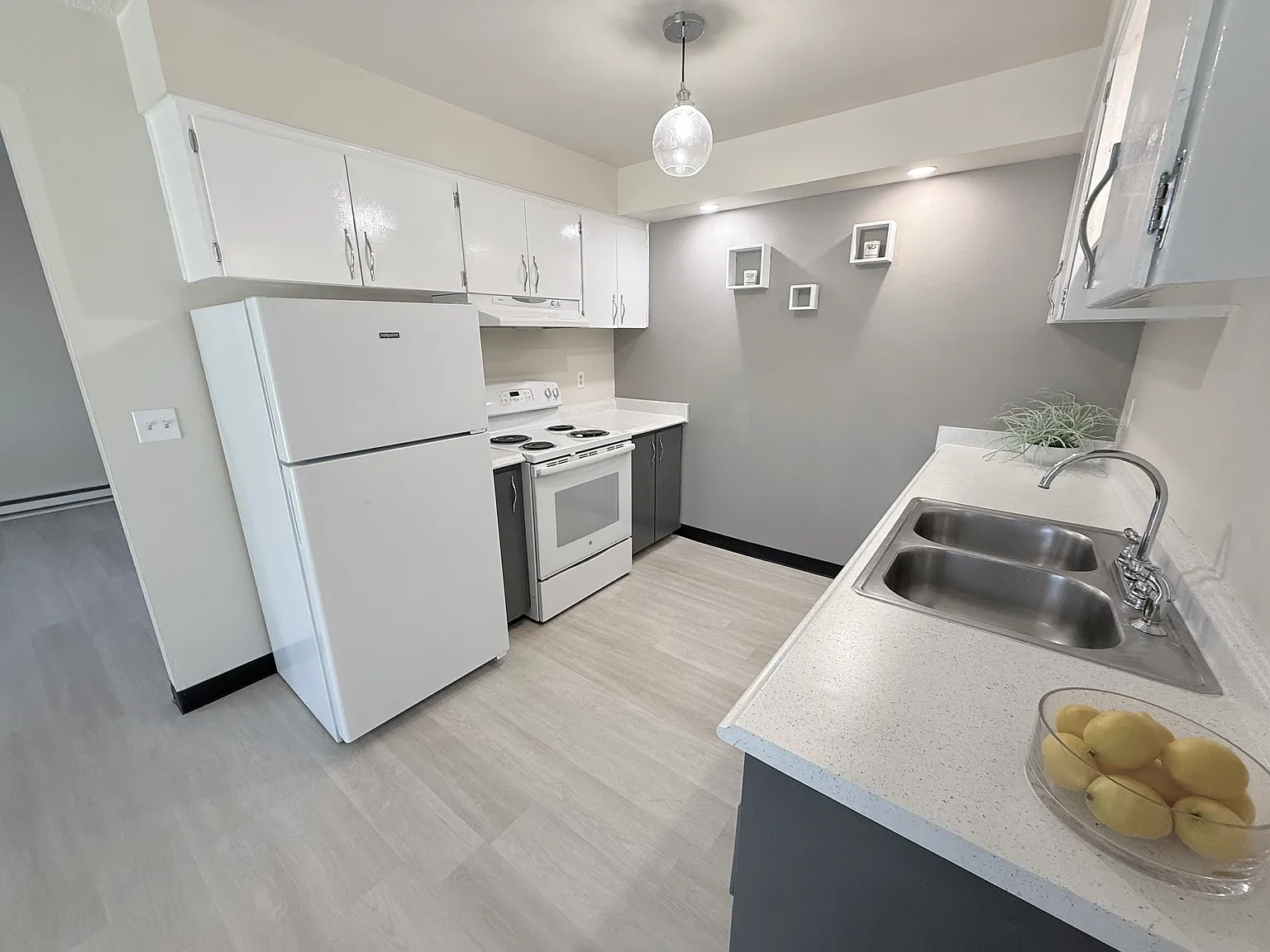 2 bed, 800 sqft, $1,500 — Photo 4