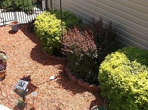 2nd image of 3124 Monterey St