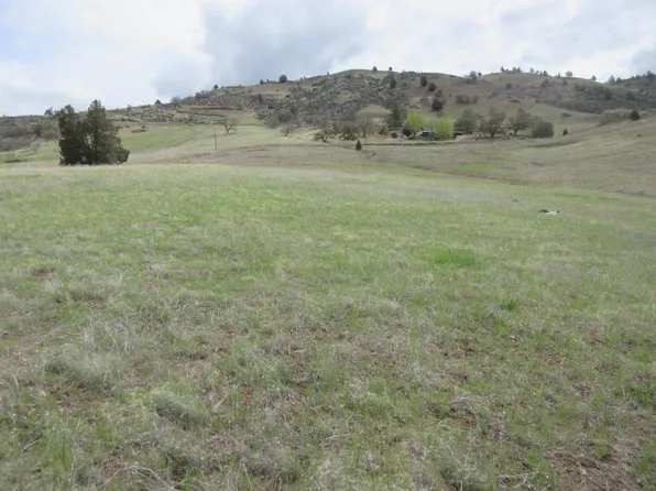 L27-U2 Dennis Pl, Hornbrook, CA 96044