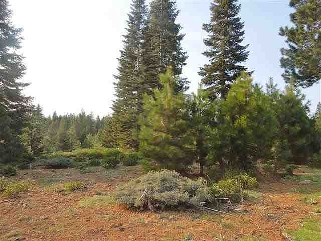 2nd image of 265 Bailey Creek Dr