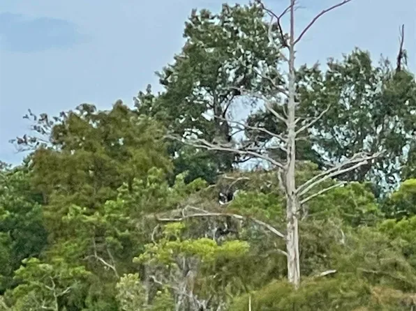 1698 Old Town Ave., Georgetown, SC 29440