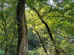 0 Brown Fork Rd, Lowmansville, KY 41232