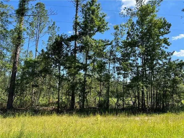 LOT 11 Walker Ferry Rd, Pollock, LA 71467