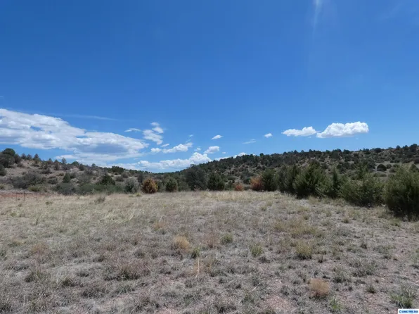 36 Wind Canyon Rd, Silver City, NM 88061