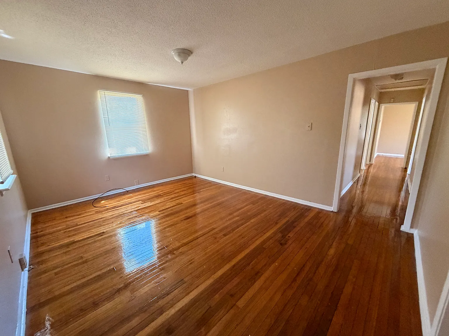 3 bed, 1000 sqft, $1,000 — Photo 2