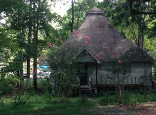 1113 Hilton Sound Point, Chapin, SC 29036