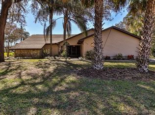 250 E Hartford St, Hernando, FL 34442