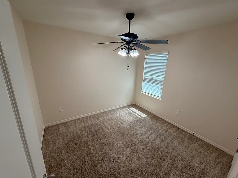 11003 Trailing Vine Dr — Photo 16