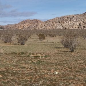 0 Powerline Rd, Lucerne Valley, CA, 92356