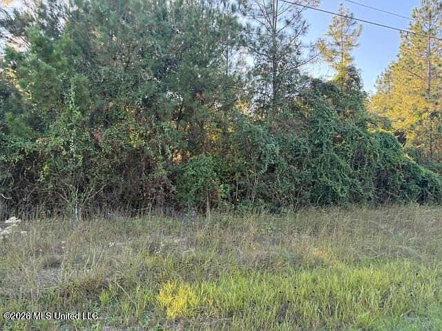 1st image of W Wortham Rd Lot 18